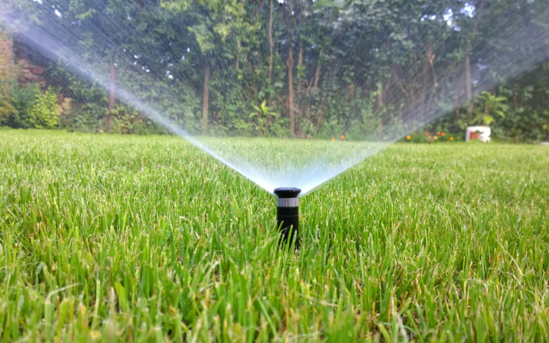 The Importance Of Professional Landscape Irrigation in Escondido