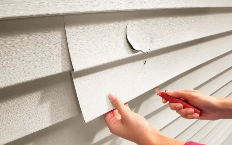 Interesting Facts About Siding Replacement Services