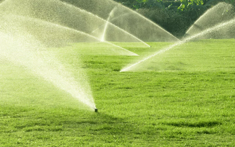 How to Choose the Right Landscape Irrigation System?