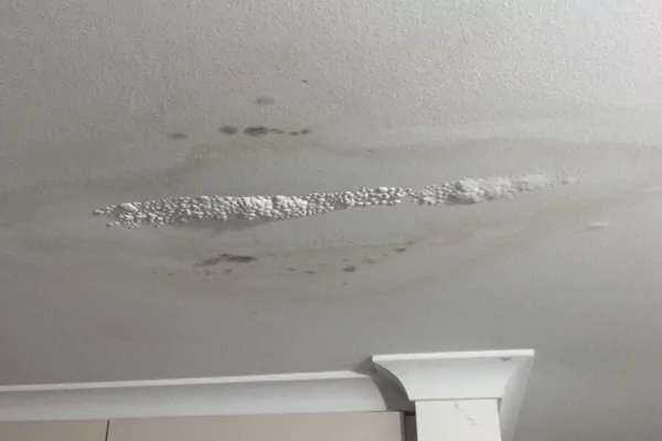 Leaky Roof